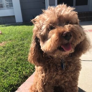 Meet your Posher, Eve